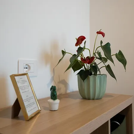 Solis 22 Apartment *